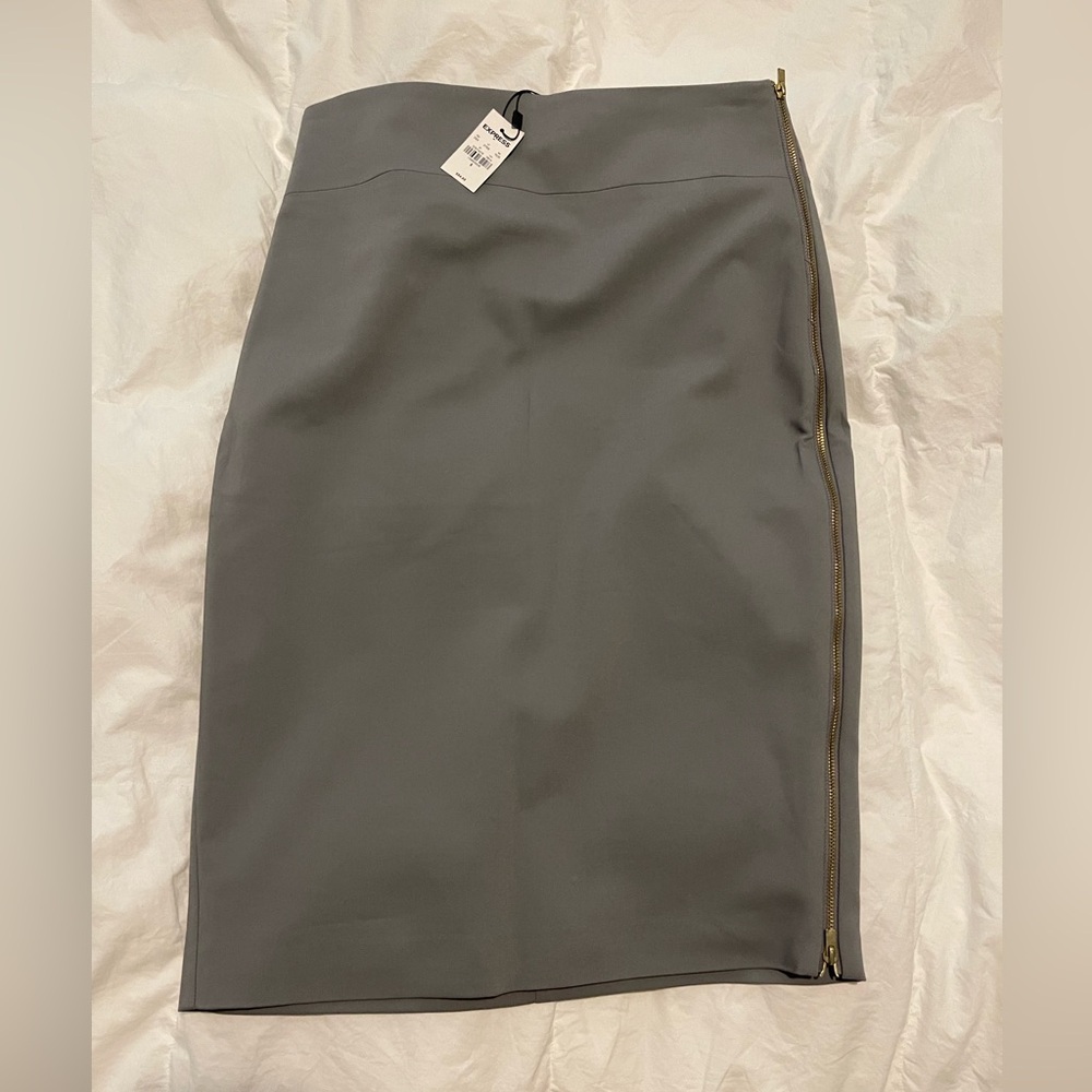 Express Pencil Skirt